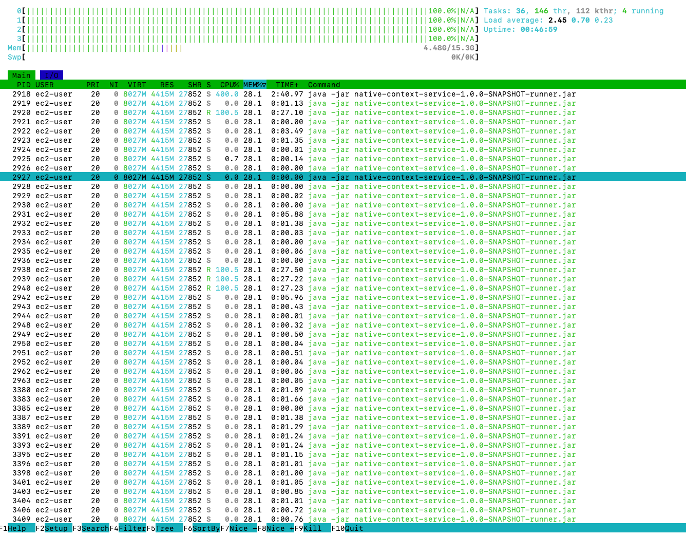 JVM Memory Usage